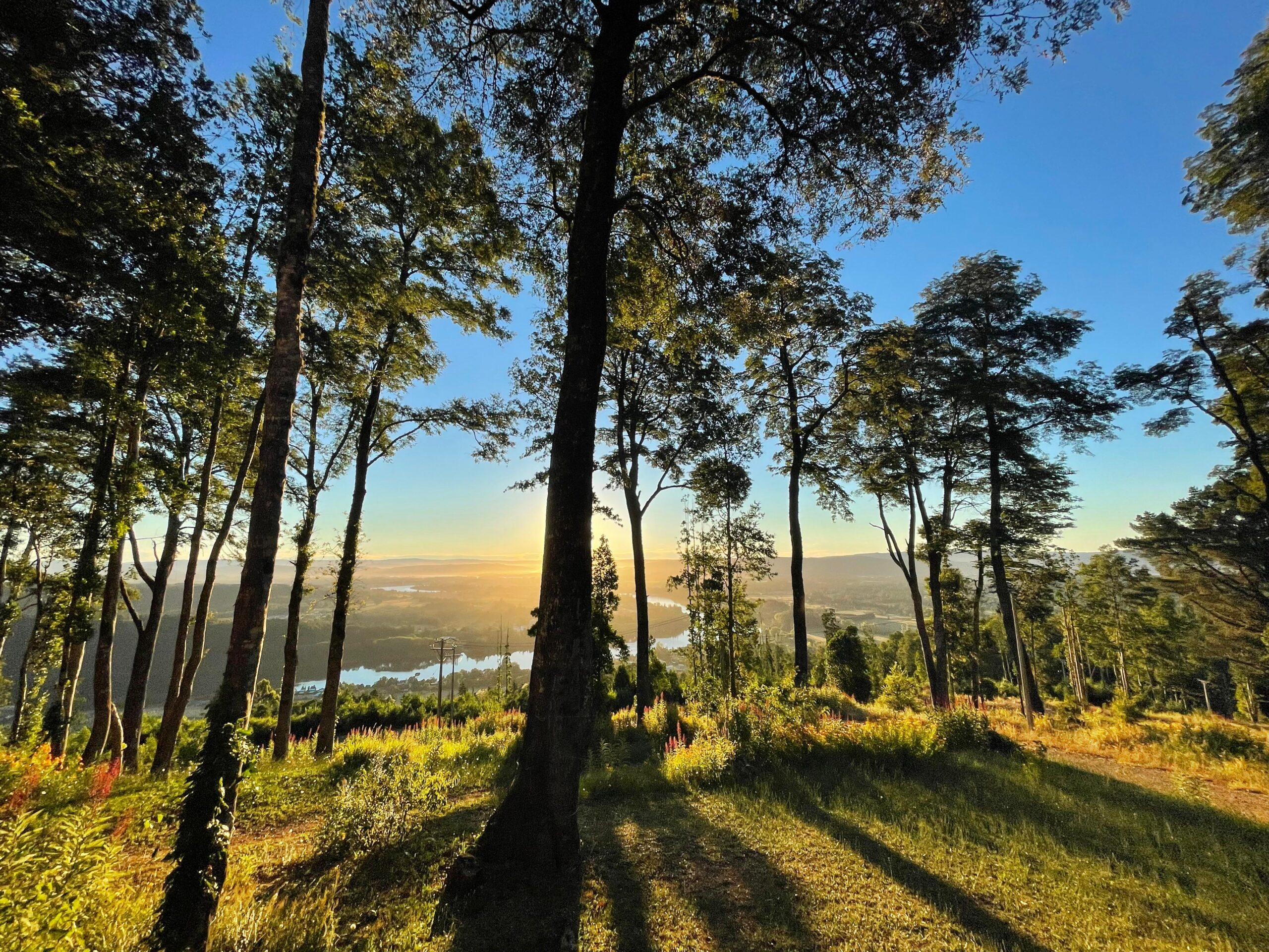 Parcelas en valdivia
